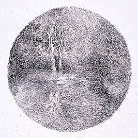 placeholder image-sq