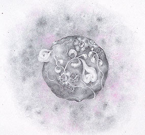 placeholder image-sq