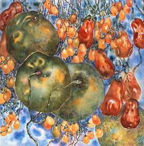 placeholder image-sq