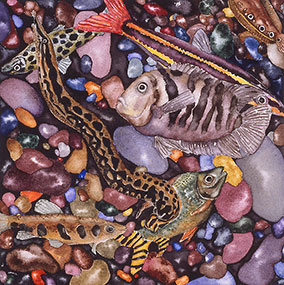 placeholder image-sq