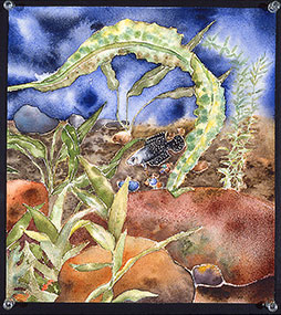 placeholder image-sq